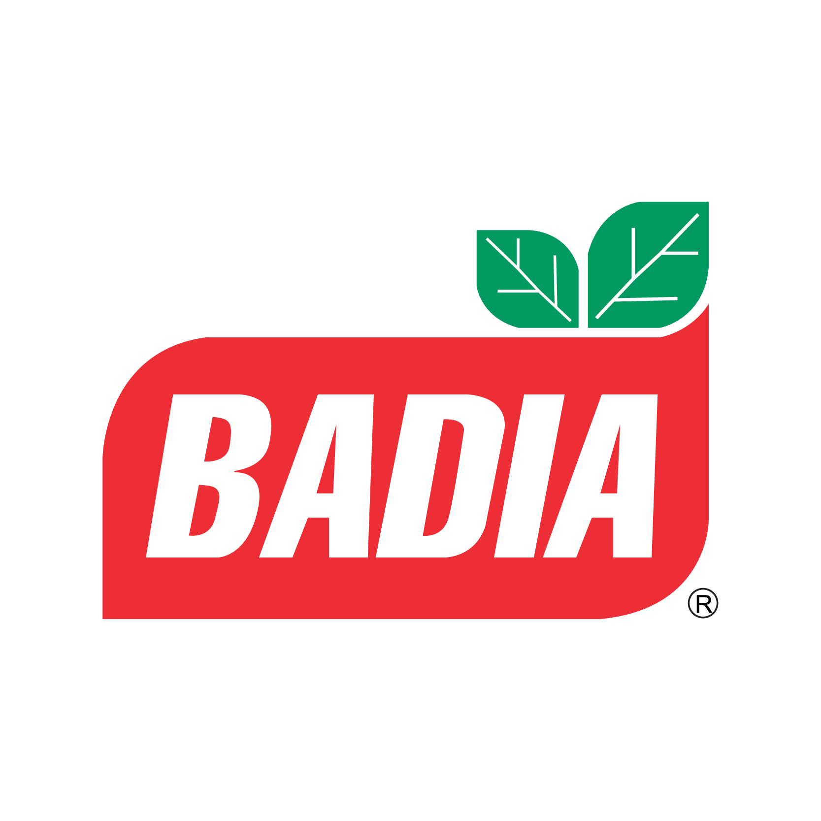Badia